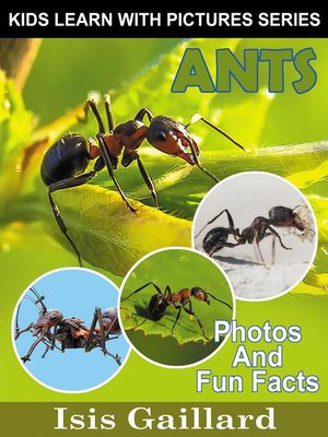 cover image of Ants Photos and Fun Facts for Kids